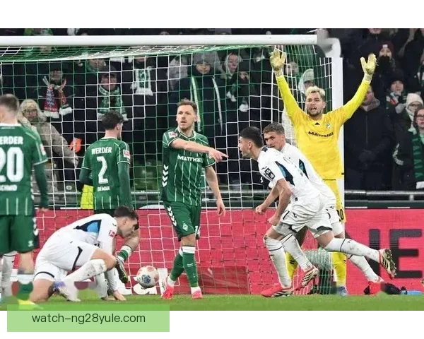 克拉马里奇双响霍芬海姆31胜